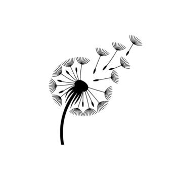 A minimalist silhouette of a dandelion with seeds dispersing on a clean background symbolizing wishes and freedom in nature vector