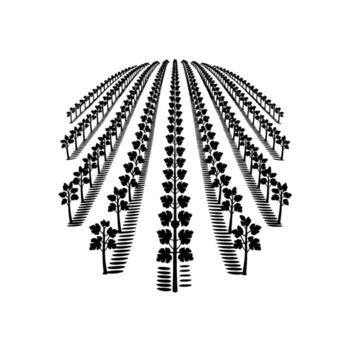 estilizado silueta de un meticulosamente cultivado viñedo con filas de vides retrocediendo dentro el distancia en contra un limpiar antecedentes representando crecimiento y agricultura vector