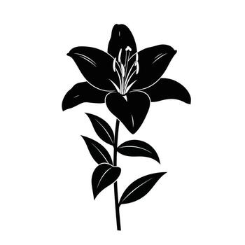 Black silhouette of a single lily flower with multiple petals and a stem with leaves on a white background vector
