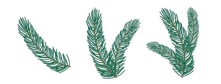 Fir Tree Branch set in Flat Sstyle Isolated on Transparent Background. Evergreen Tree Branches Collection Illustration. Pine Twigs with Green Needles. Winter Holiday decoration Spruce or Cedar. vector