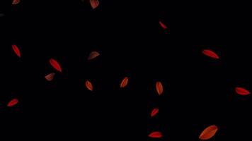 Realistic Falling Leaves Particle Seamless Loop Animation video