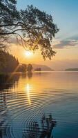 sereno pôr do sol sobre tranquilo lago com ondulando água e árvore ramo dentro primeiro plano cria pacífico e deslumbrante fundo para projetos, Sol fundição dourado reflexões realçando calma atmosfera video