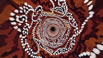 en espiral resumen diseño con vibrante colores y intrincado patrones, exhibiendo un continuo movimiento secuencia ese sorteos el espectador Más adentro dentro el visual vórtice de creatividad video