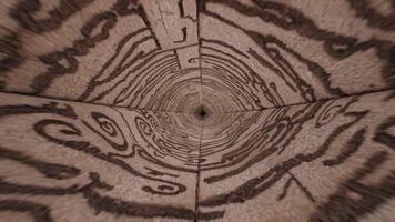 spiral rörelse genom texturerad trä- yta, visa upp invecklad mönster och djup, skapande en fascinerande visuell resa in i de kärna av de material video