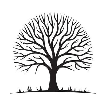Striking Silhouette of a Bare Tree Displaying Intricate Branch Patterns Against a Clean White Backdrop Symbolic of Winter vector