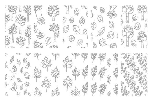 elegante dibujado a mano otoño follaje y arboles crear encantador estacional patrones y orgánico diseño elementos vector