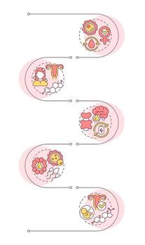 Hormones infographic vertical sequence. Women health support. Reproductive system care. Visualization infochart with 5 steps. Circles workflow vector
