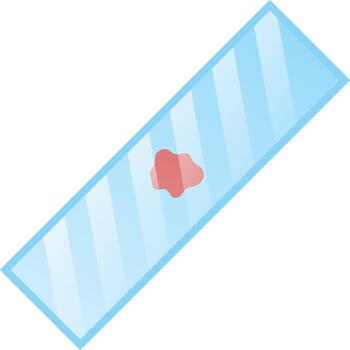 sangre muestra en microscopio diapositiva plano ilustración. limpiar icono diseño elemento en aislado blanco antecedentes vector