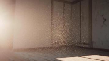 poeira partículas dança dentro luz solar transmissão através a esvaziar sala, criando uma hipnotizante visual efeito, destacando a sereno atmosfera e texturas do a espaço video