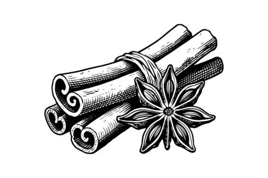 Hand-drawn cinnamon sticks tied with a string and star anise flower on a white background, representing spice, flavor, and culinary art vector