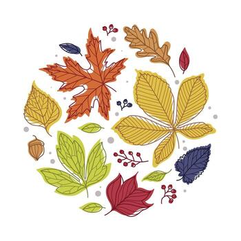 Round Shape with Bright Autumn Foliage of Different Leaf Color Arrangement vector