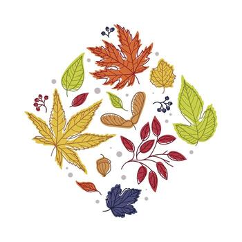 Rhombus Shape with Bright Autumn Foliage of Different Leaf Color Arrangement vector