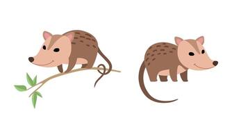 linda zarigüeya animal sentado en árbol rama y en pie conjunto vector