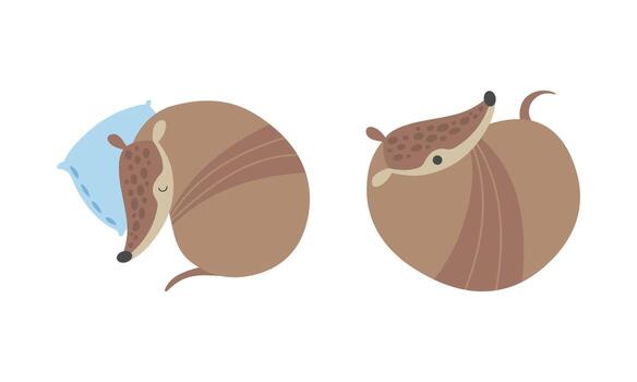 Cute Armadillo Character with Armor Shell Curled Up and Sleeping on Pillow Set vector