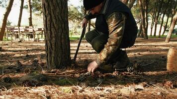 man använder sig av en pinne under en träd till hitta en svamp video