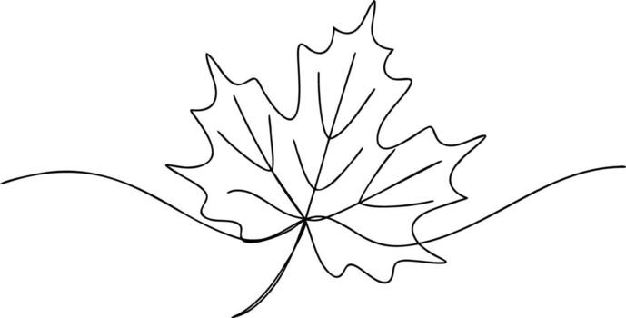 Single line drawing of a maple leaf with flowing lines vector