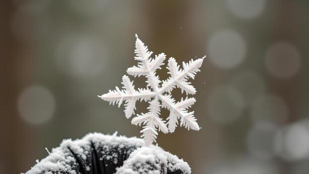 A detailed macro shot of a single, pristine snowflake against a blurred, bokeh filled winter backdrop highlighting its intricate ice crystal structure photo