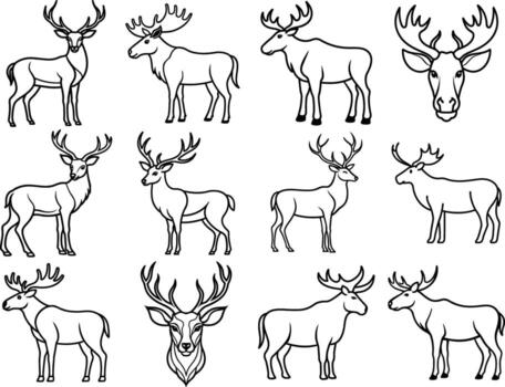Collection of moose line art illustrations for design projects vector
