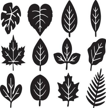Set of various black leaf silhouettes with unique shapes and vein patterns. vector