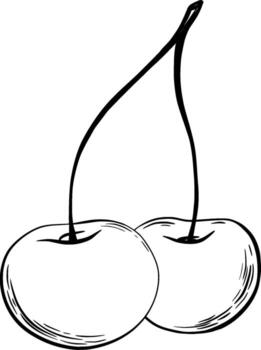 Cherries for decorating confectionery products in graphic style. illustration. Hand drawn in a simple minimalist style. Can be used for kitchen, notes, cookbook, textile. vector