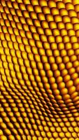 Repeating golden 3D scales creating a patterned metallic abstract surface video