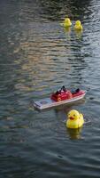 verticale tiro cattura rosso radiocomandato salvare barca navigazione tra parecchi giallo gomma da cancellare anatre su dolce stagno acqua, la creazione di giocoso acquatico scena per Radio andare in barca evento. video