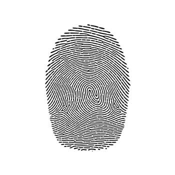 Detailed Black and White Fingerprint Image, Isolated on White Background, Mysterious and Intriguing Forensic Evidence vector