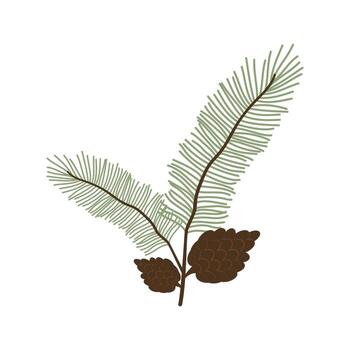 Close-up of pine tree branches with vibrant green needles and brown cones. Natural texture and detail in a peaceful forest setting. vector