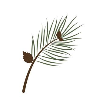 Close-up of pine tree branches with vibrant green needles and clusters of cones. Natural texture and detail in a serene forest setting. vector