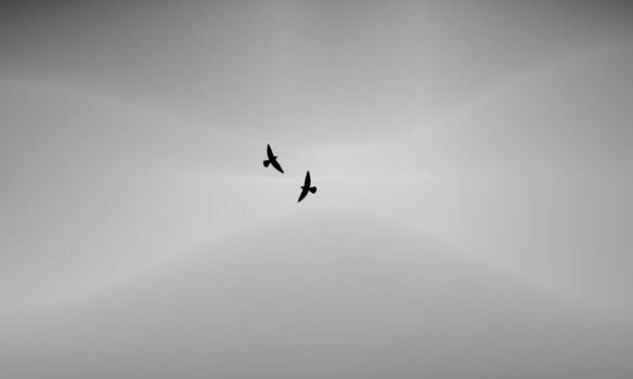 Minimalist silhouette of two birds flying against abstract gray gradient background, symbolizing freedom and peace vector