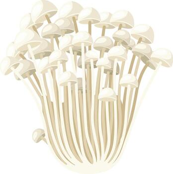 A cluster of Enoki mushrooms, featuring long, slender stems and small, rounded caps, presented against a clean white background. vector