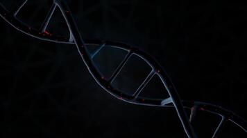 Futuristic glowing DNA strand structure with red light particles in dark background loop animation video