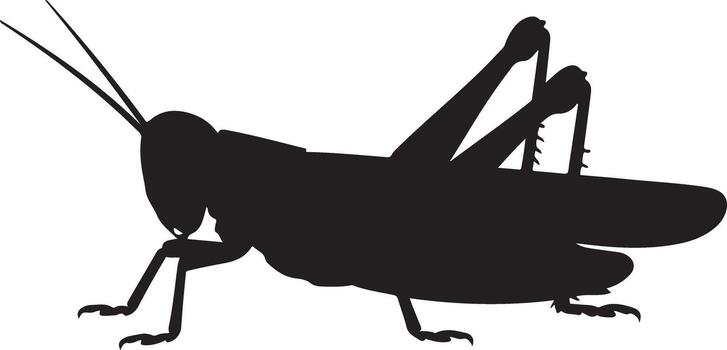 Grasshopper Silhouette Insect Locust Bug Shape vector