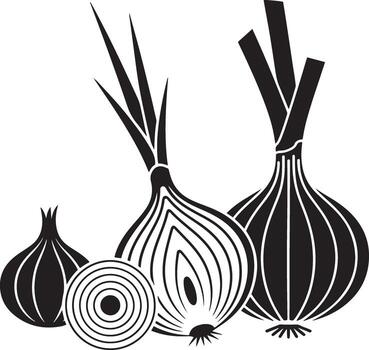 Group of Onion Bulbs with Detailed Interior Structure on a Transparent Background for Design vector
