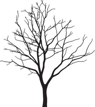 Silhouette of a Deciduous Tree with Bare Branches on a Transparent Background vector