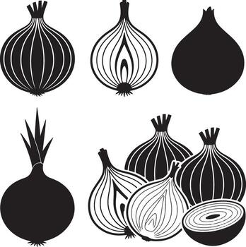 Intricate Onion Bulb Cross-Section Illustration on a Clear Transparent Background for Projects vector