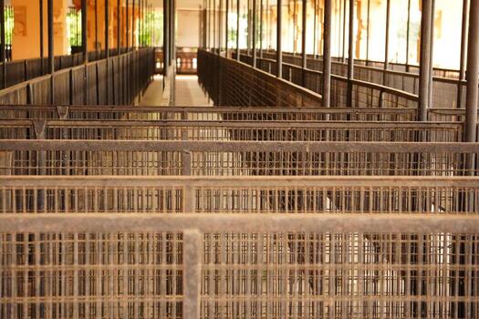 Empty Queue Lines at Temple Entrance Hall photo