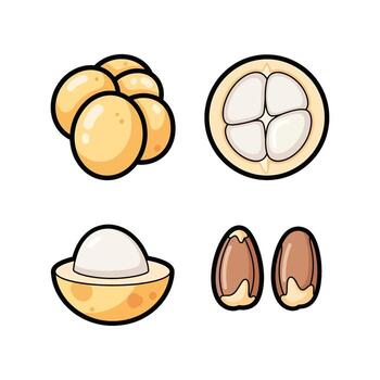 Illustrated eggs and nuts vector