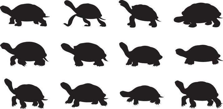 Tortuga silueta conjunto en sencillo gris modelo vector