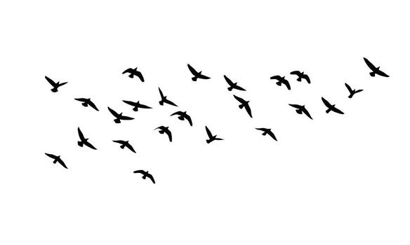 Birds flying in formation creating a dynamic and minimalist silhouette against a clean backdrop symbolizing freedom and migration vector