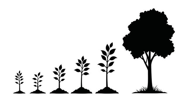 Tree growth cycle vector
