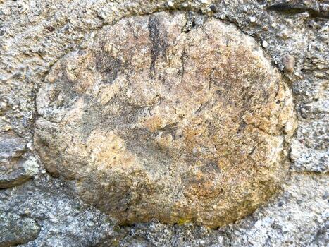 Close-up of weathered rock surface with circular patterns photo