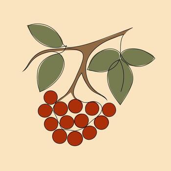 Colored One Line Rowan Branch with Berries and Leaves vector