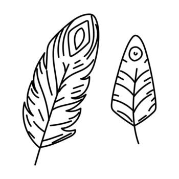 Feathers are symbol of Native Americans in style doodle. Two different feathers from bird. Elements head decorations, hunting tools. Handmade product. Engraving, graphics, shading. American Indians vector