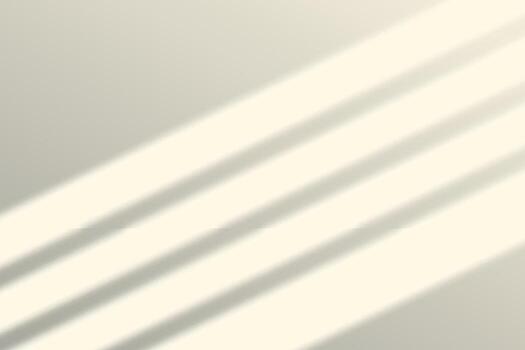 shadow overlay effect. shadow on wall in the room from window vector