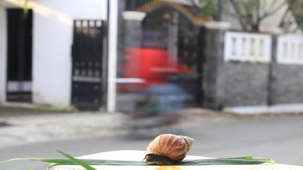 Snail crawls slowly on a leaf in front of a blurred urban street, showcasing nature's pace against the backdrop of city life, creating a serene and contrasting scene. photo