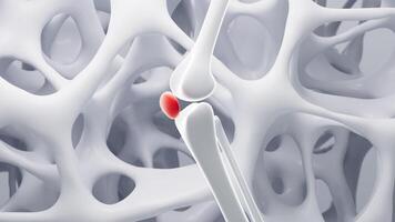 mänsklig gemensam ben och porös skelett- ramverk bakgrund, 3d tolkning. video