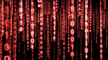 dinamico digitale pioggia con raggiante rosso binario codice caduta fuori uso, astratto matrice ruscello video