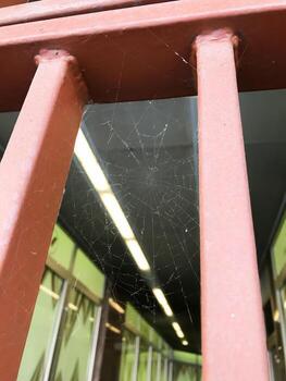 Cobweb in the corner of the window, cobweb in the basement photo
