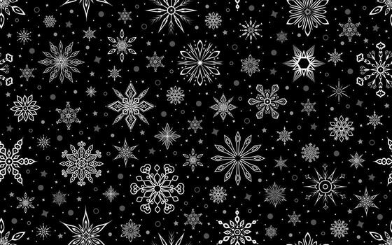 black and white snowflake pattern vector